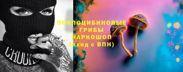 ГАЛЛЮЦИНОГЕННЫЕ ГРИБЫ Горняк
