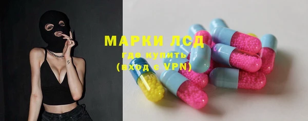 PSILOCYBIN Горно-Алтайск
