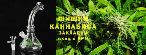 PSILOCYBIN Горно-Алтайск