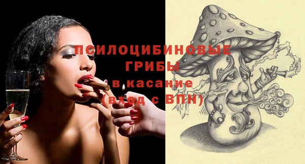 ГАЛЛЮЦИНОГЕННЫЕ ГРИБЫ Горняк