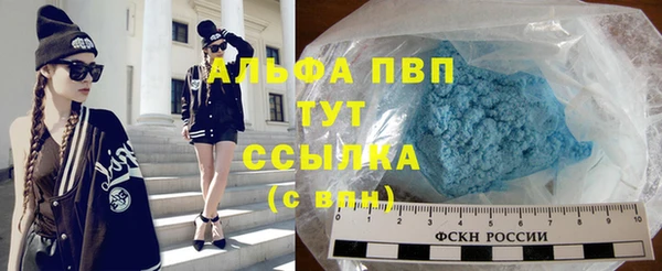 ГАЛЛЮЦИНОГЕННЫЕ ГРИБЫ Горняк