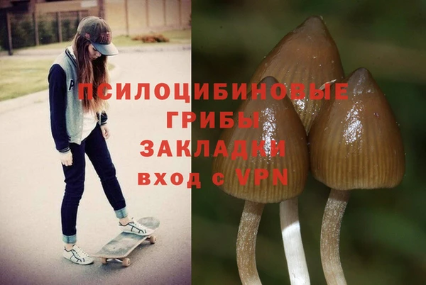 PSILOCYBIN Горно-Алтайск