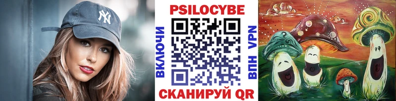 Галлюциногенные грибы Cubensis  Новая Усмань 
